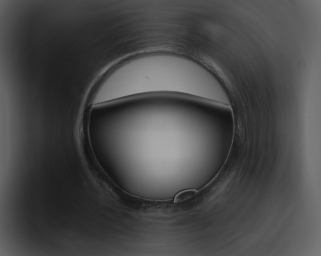 X0000096980532200802080901