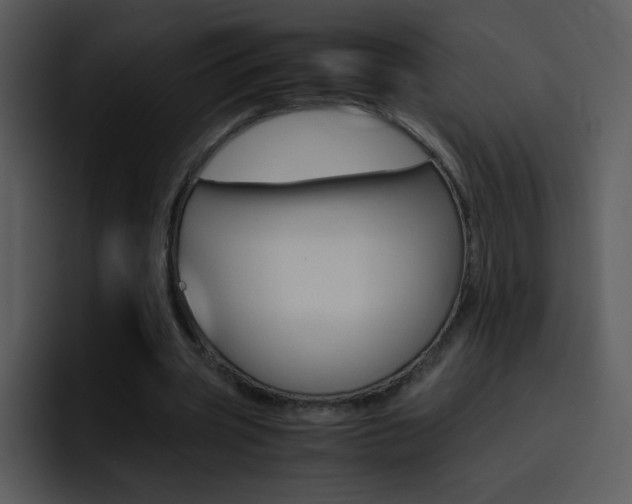 X0000096980533200802080901