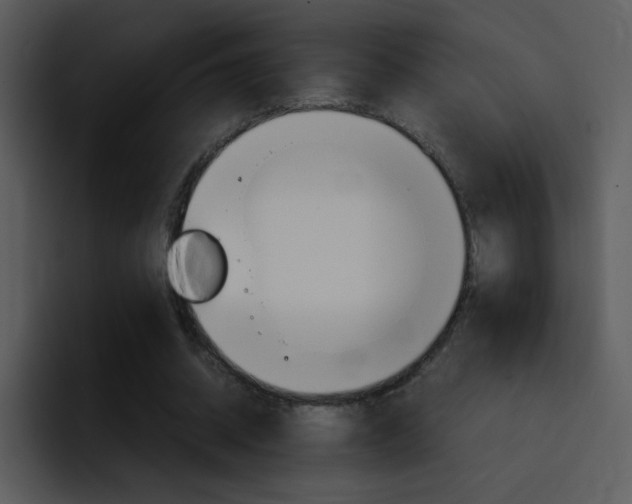 X0000096980534200802080901