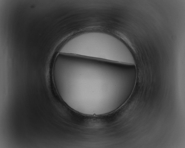 X0000096980535200802080901