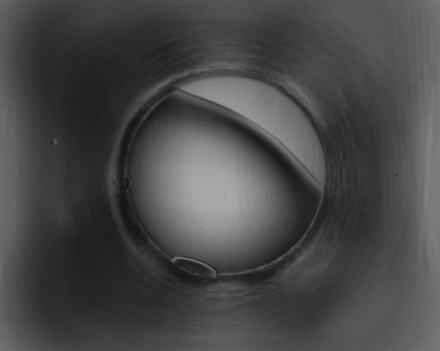 X0000096980536200802080901