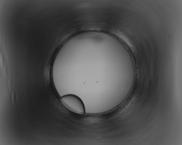 X0000096980537200802080901