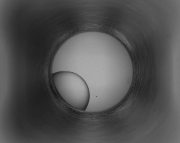 X0000096980538200802080901