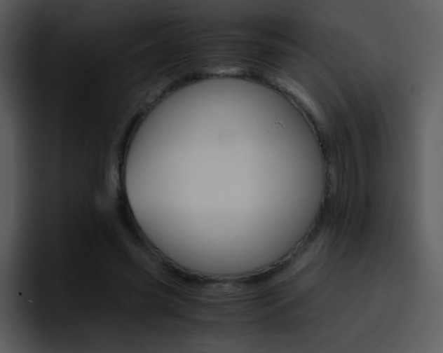 X0000096980541200802080901