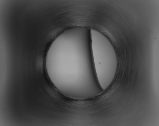 X0000096980542200802080901