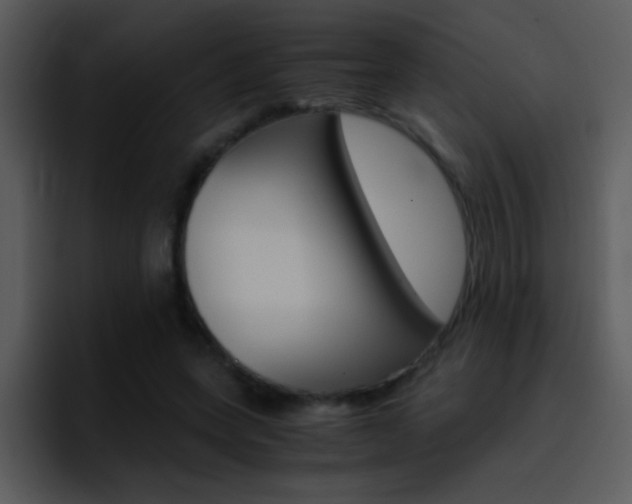 X0000096980543200802080901