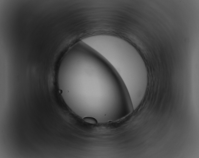 X0000096980544200802080901