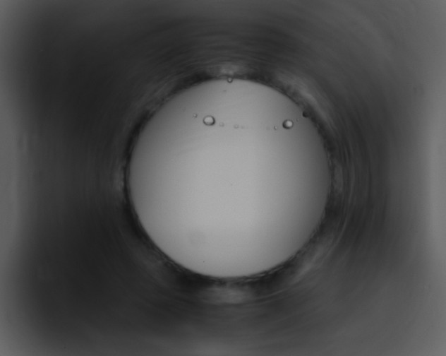 X0000096980545200802080901