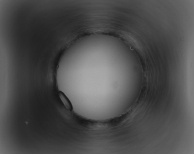 X0000096980546200802080901