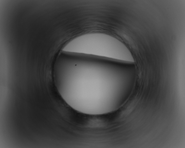 X0000096980547200802080901