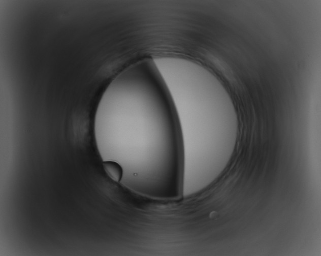 X0000096980548200802080901