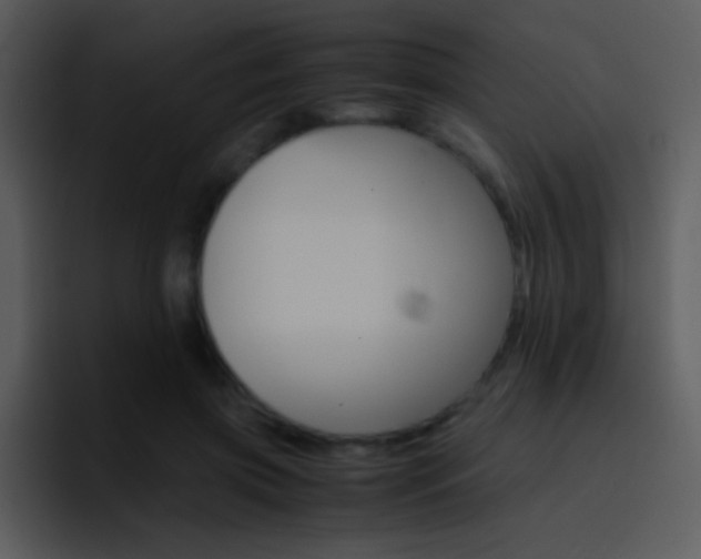 X0000096980549200802080901