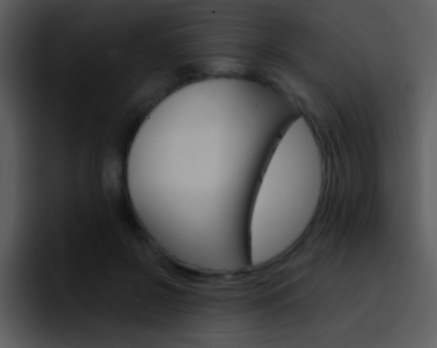 X0000096980550200802080901