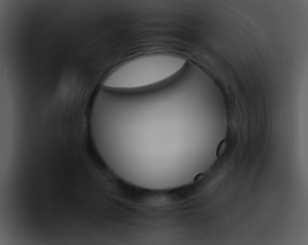 X0000096980551200802080901