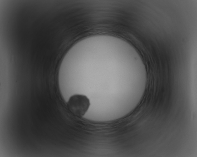 X0000096980552200802080901