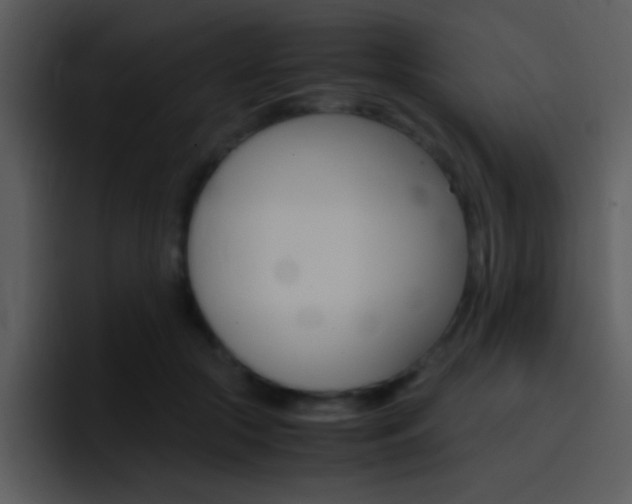 X0000096980553200802080901
