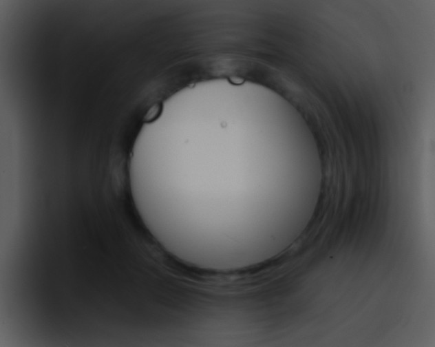 X0000096980554200802080901
