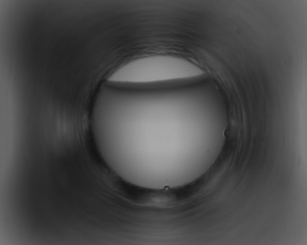 X0000096980555200802080901