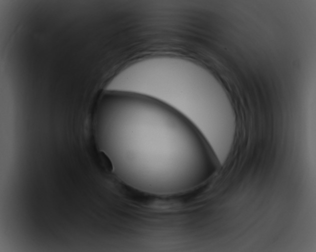 X0000096980556200802080901