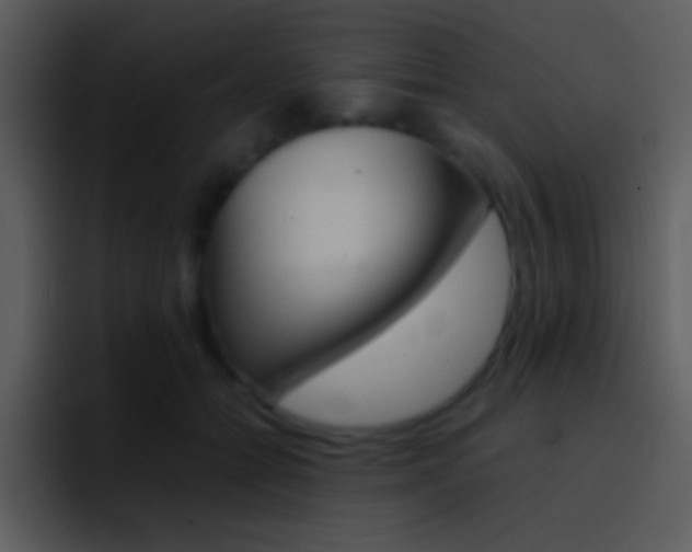 X0000096980558200802080901