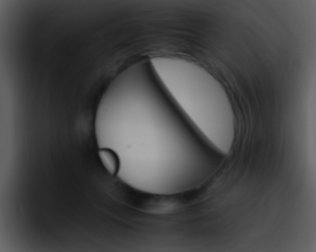 X0000096980559200802080901