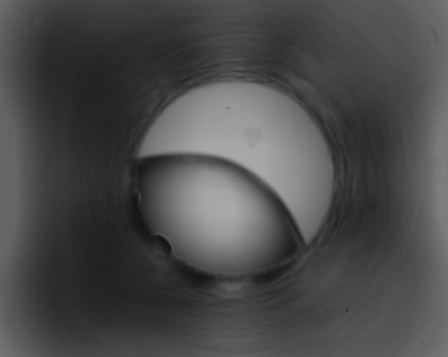 X0000096980560200802080901