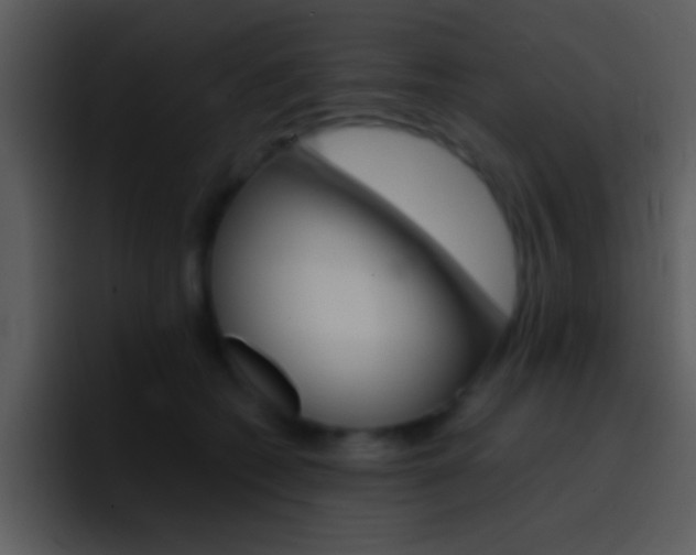 X0000096980562200802080901