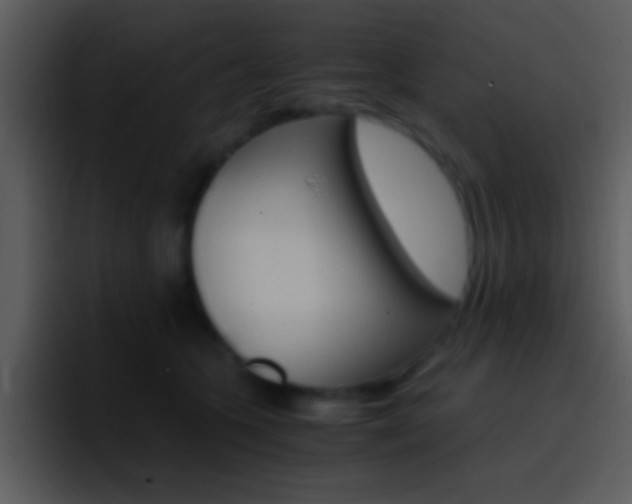 X0000096980563200802080901
