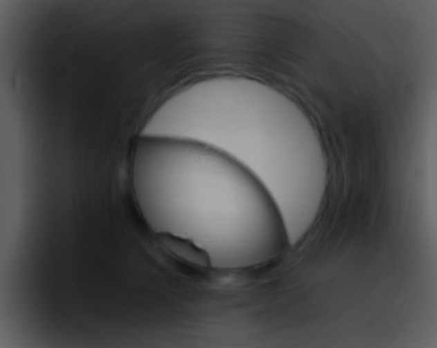 X0000096980564200802080901