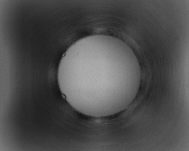 X0000096980565200802080901