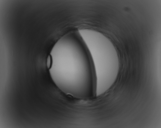 X0000096980566200802080901