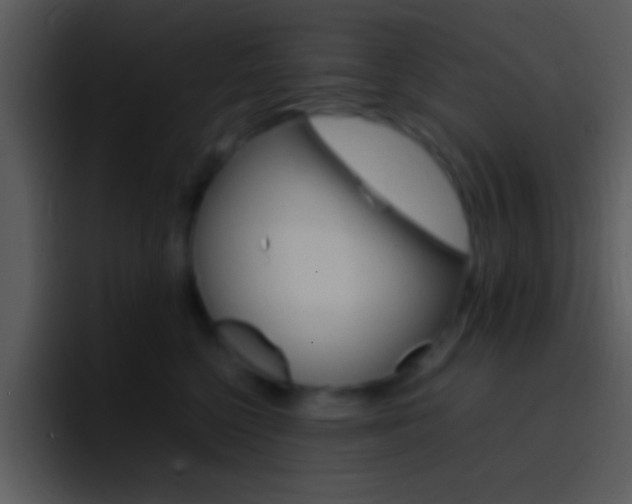 X0000096980568200802080901