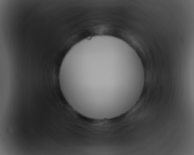 X0000096980569200802080901