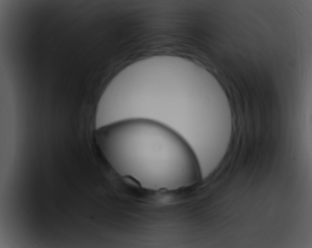 X0000096980570200802080901