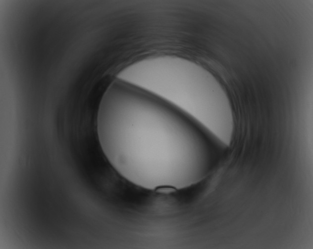 X0000096980572200802080902