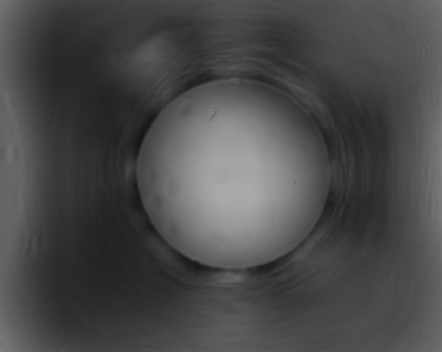 X0000096980574200802080902