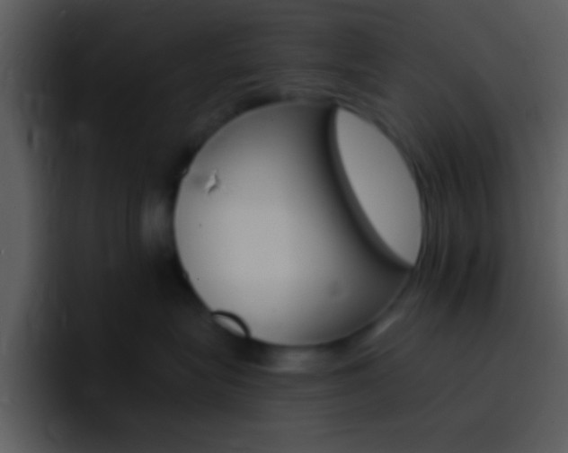X0000096980575200802080902