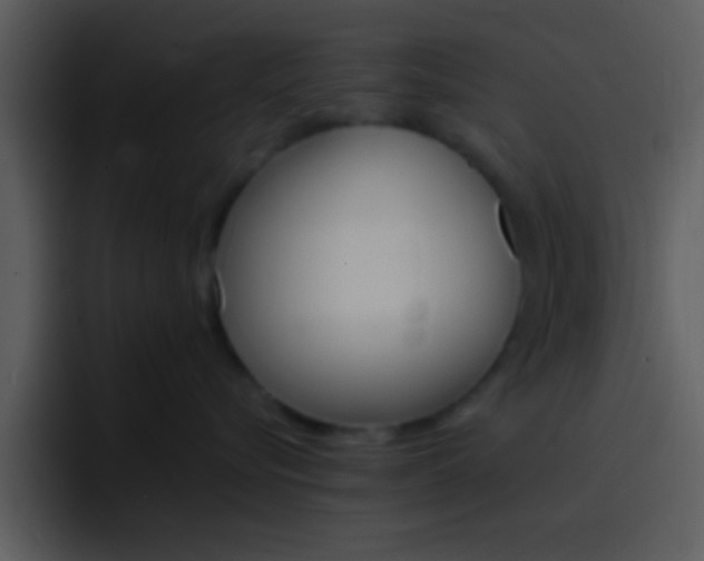 X0000096980576200802080902