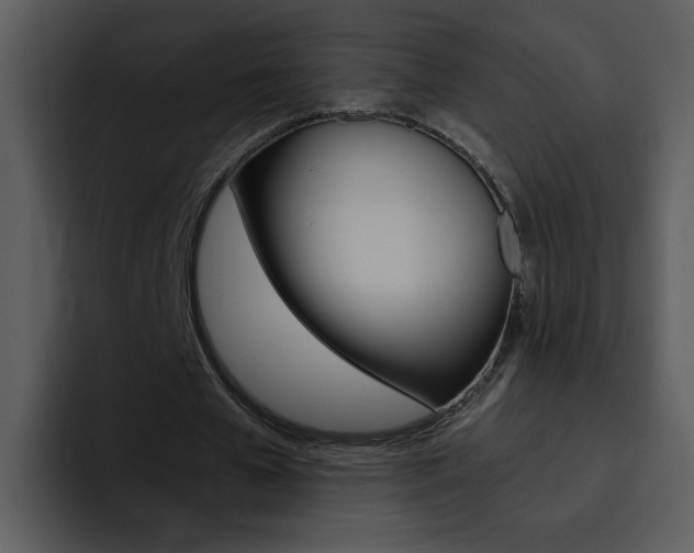 X0000096980577200802080901