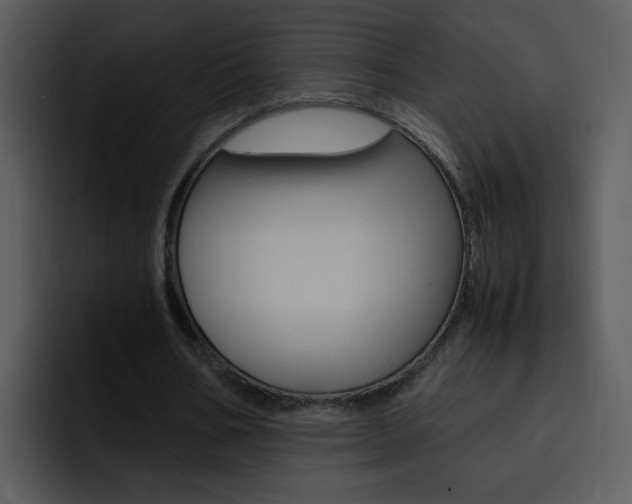 X0000096980578200802080901