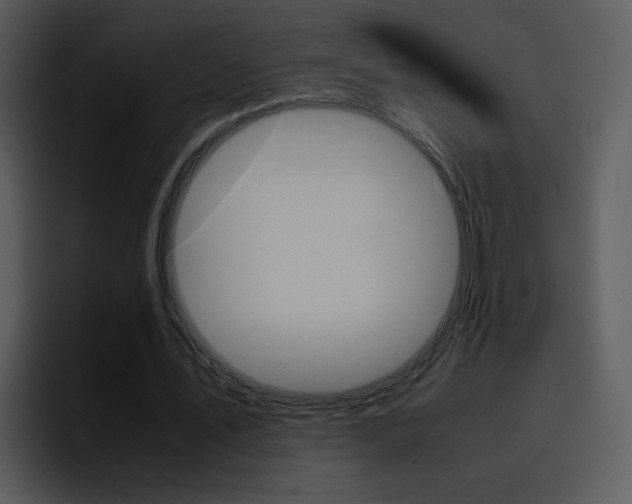 X0000096980579200802080901