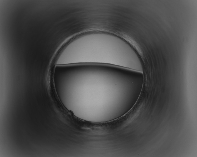 X0000096980580200802080901