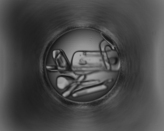 X0000096980581200802080901