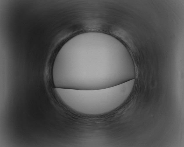 X0000096980583200802080901
