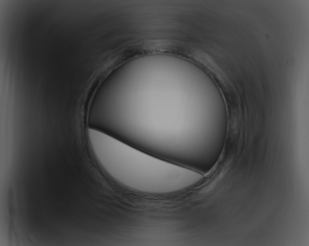 X0000096980585200802080901