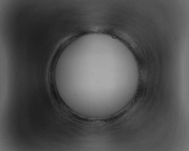 X0000096980587200802080901