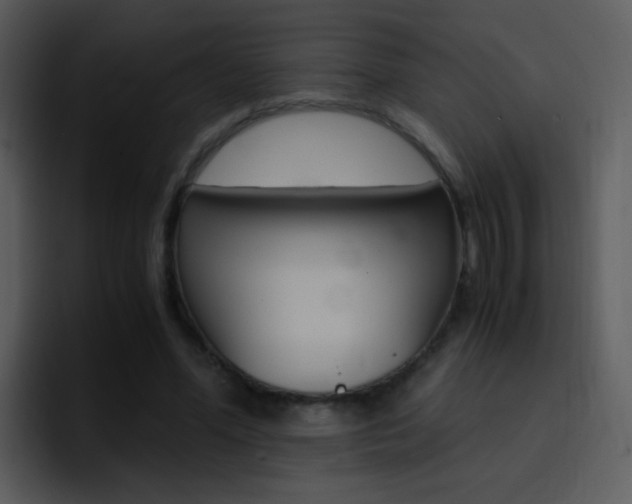 X0000096980588200802080901