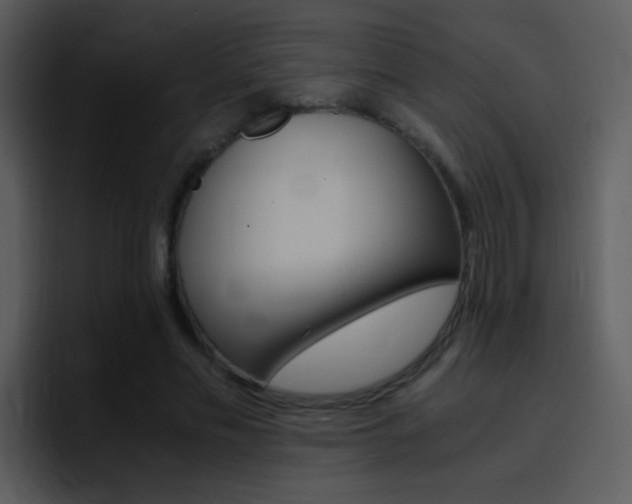 X0000096980589200802080901