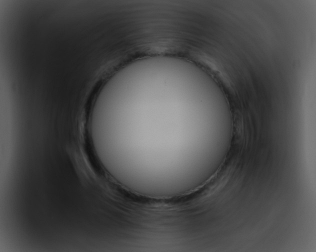 X0000096980590200802080901