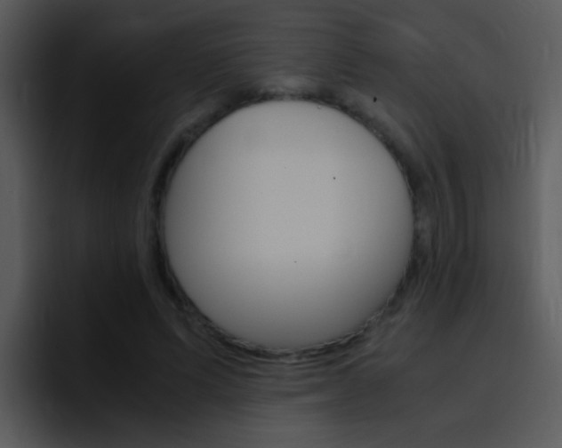 X0000096980591200802080901